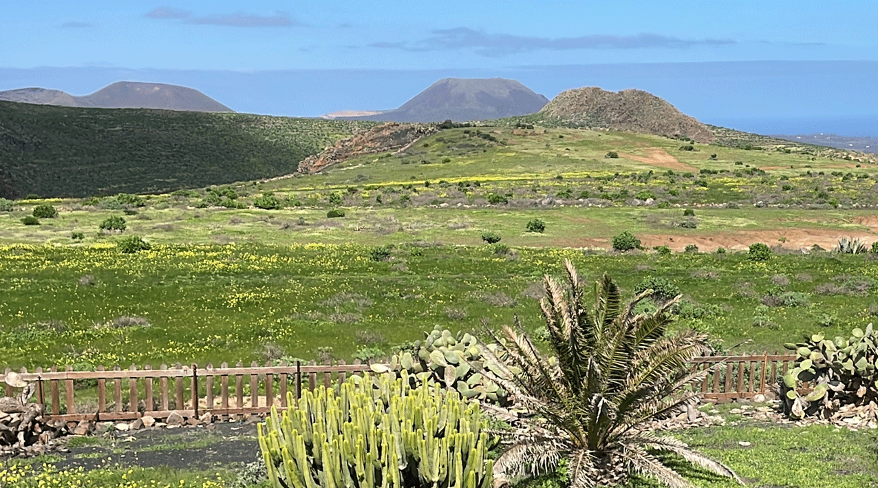 <H1>Hier bin ich Mensch - hier darf ich`s sein<H1>